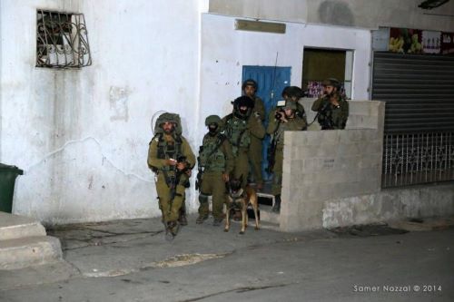 قوات الاحتلال تعتقل 9 مواطنين من محافظة نابلس