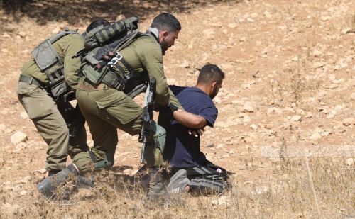 إصابات واعتقال 29 مواطنا في الخليل