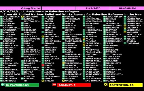 اللجنة الرابعة بالأمم المتحدة تعتمد قرارات متعلقة بالقضية الفلسطينية بأغلبية ساحقة