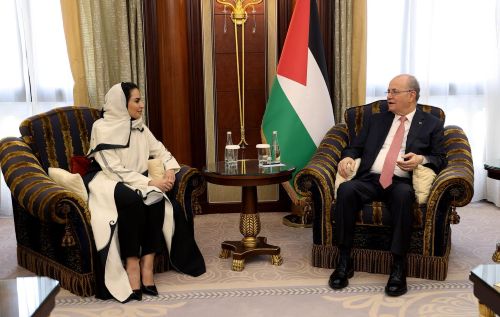 مصطفى يلتقي أمين عام منظمة التعاون الرقمي