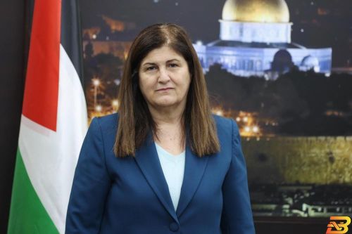 شاهين تؤكد أهمية مواصلة الجهود الدولية للحفاظ على الحقوق الفلسطينية