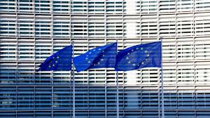 دبلوماسيون وسفراء أوروبيون: قرار منع الصليب الأحمر من زيارة المعتقلين خطأ فادح