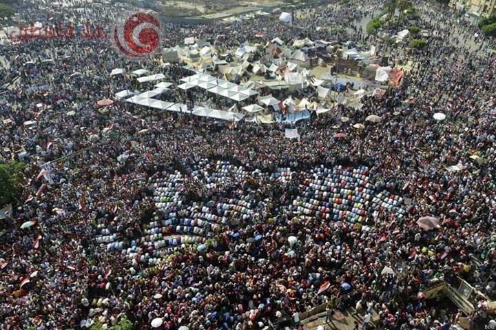 جنوب أفريقيا تشهد أكبر مسيرة منذ عام 1980 تضامنا مع غزة ورفضا للعدوان