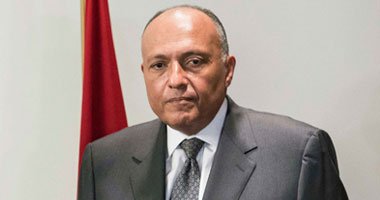 شكري يؤكد استمرار الجهود المصرية لوقف نزيف الدم في قطاع غزة